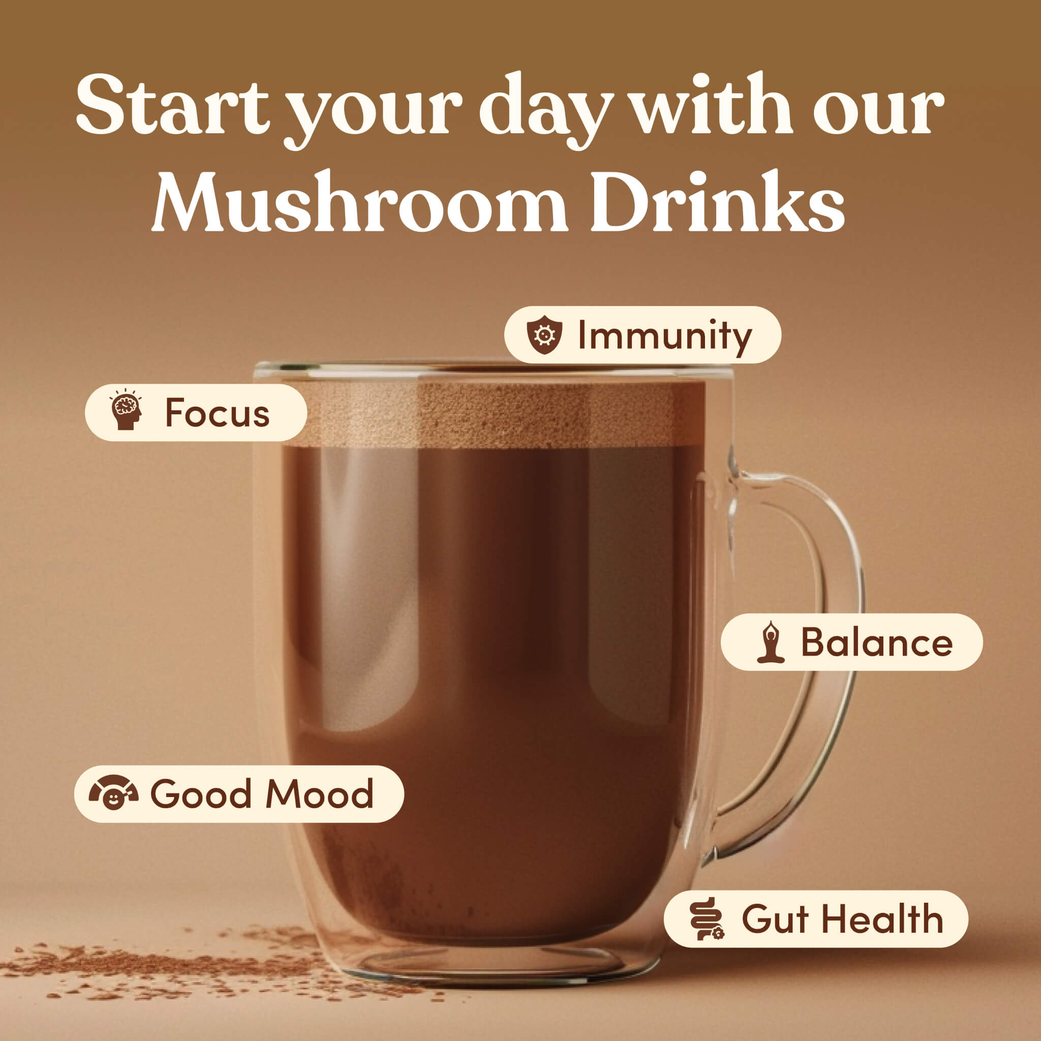 Mushroom Hot Chocolate No sugar added