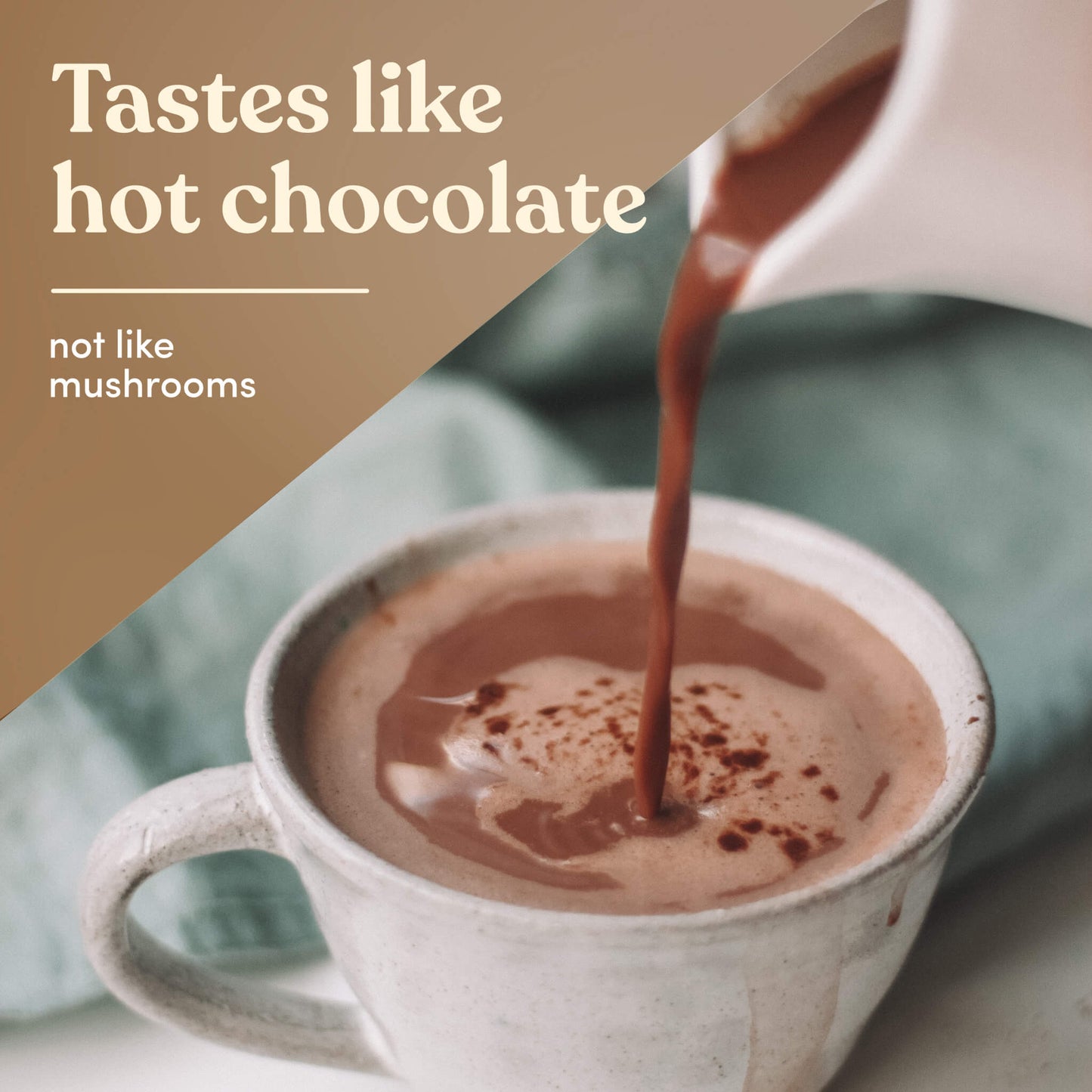 Mushroom Hot Chocolate No sugar added