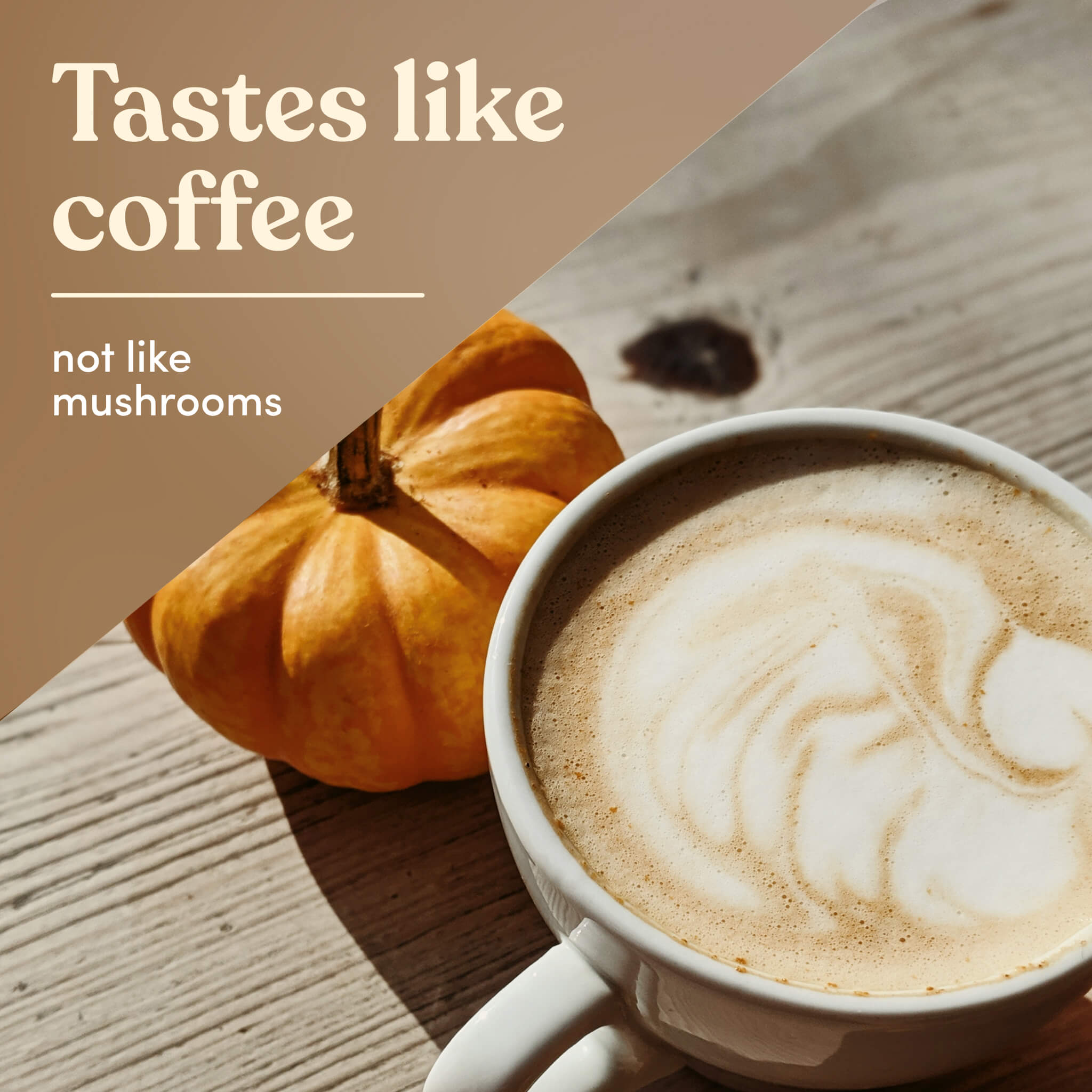 Mushroom Pumpkin Spice Latte